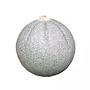 Stone and Water Ball with 8 lines Small Kit